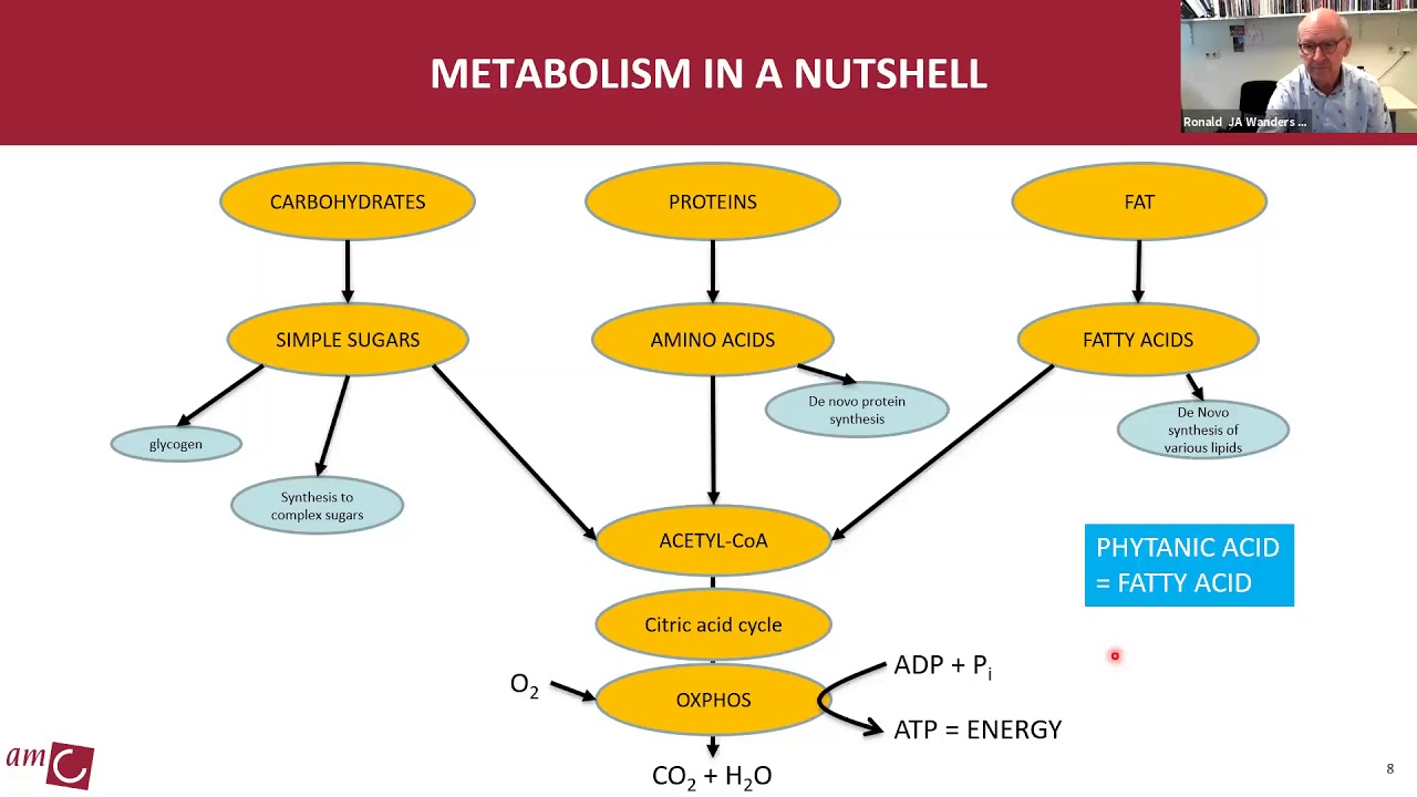Science behind Refsum Disease