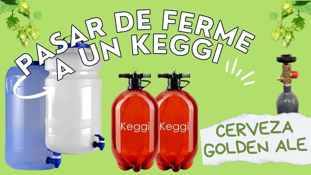 Pasar Cerveza de Fermentador a Barril. De Madurador a Keggi. Cerveza Golden. Cerveza Artesanal Saga