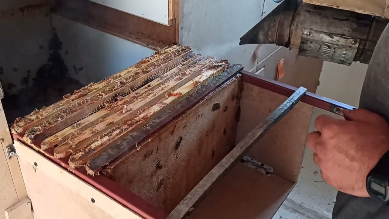 KARAVAN ARICILIK SİSTEMİ
