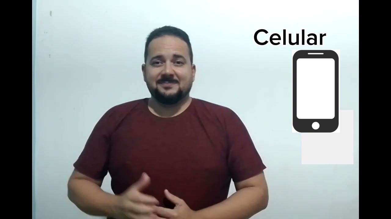 Meios de comunicação em Libras 