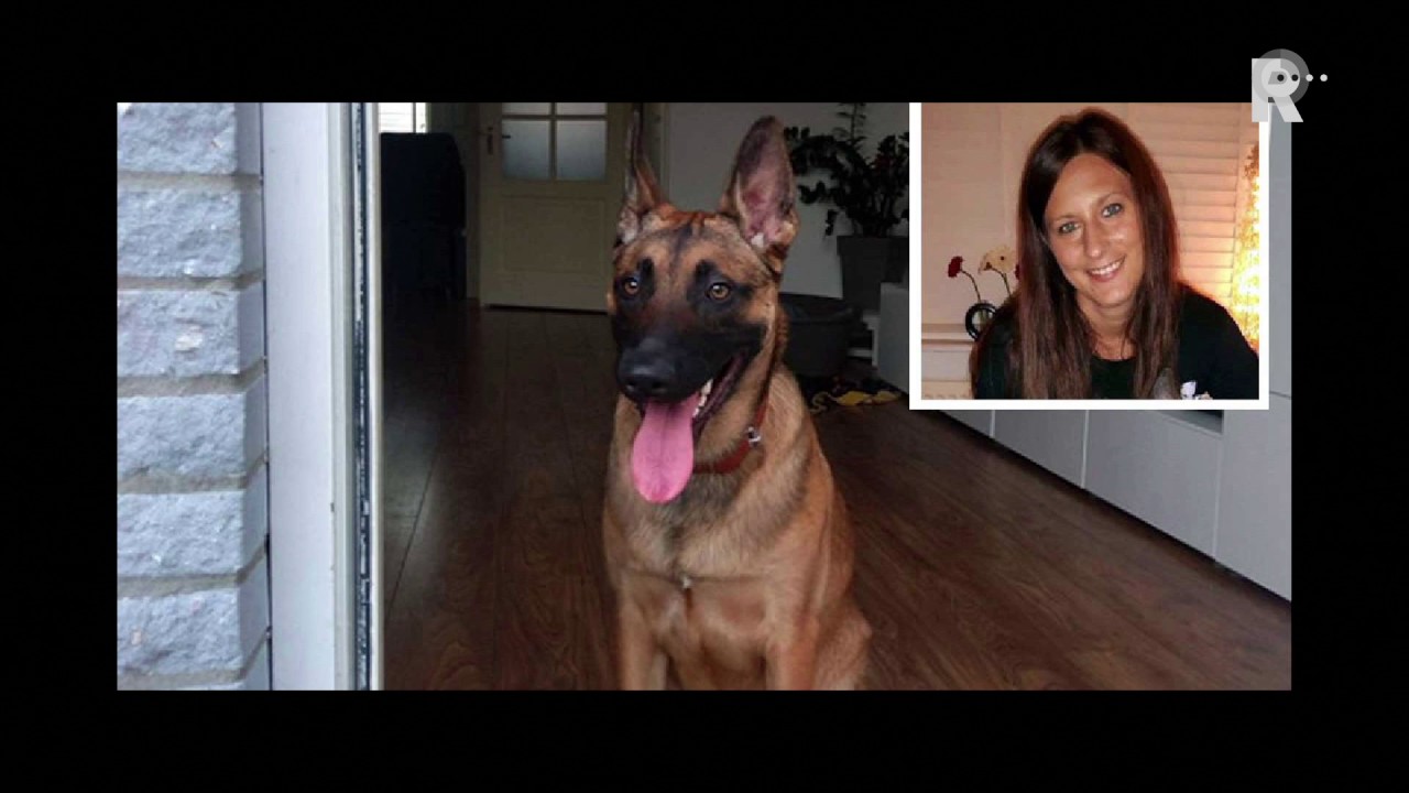 Eigenaresse afgemaakte hond op Radio Rijnmond: ''Een hond is geen auto, maar een levend wezen'
