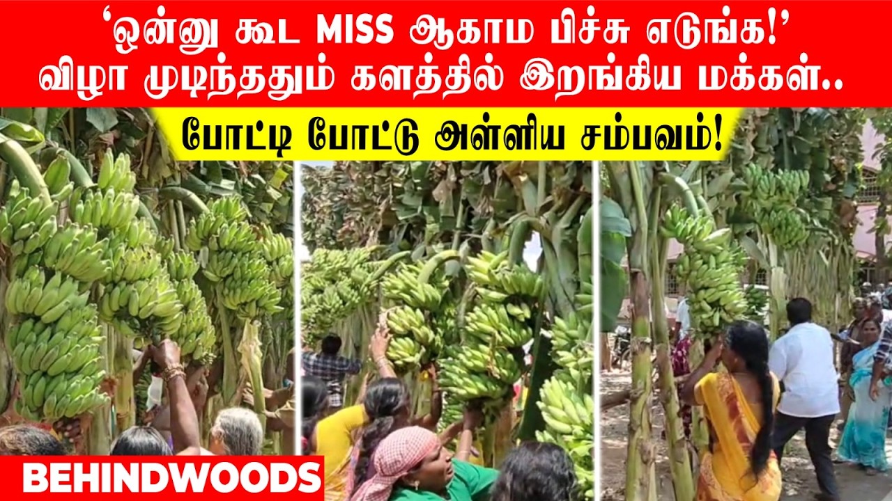 'ஒன்னு கூட Miss ஆகாம எடுங்க!'விழா முடிந்ததும் களத்தில் இறங்கிய மக்கள்..போட்டி போட்டு அள்ளிய சம்பவம்!