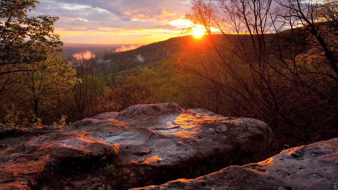 Sewanee's Light Will Guide You...