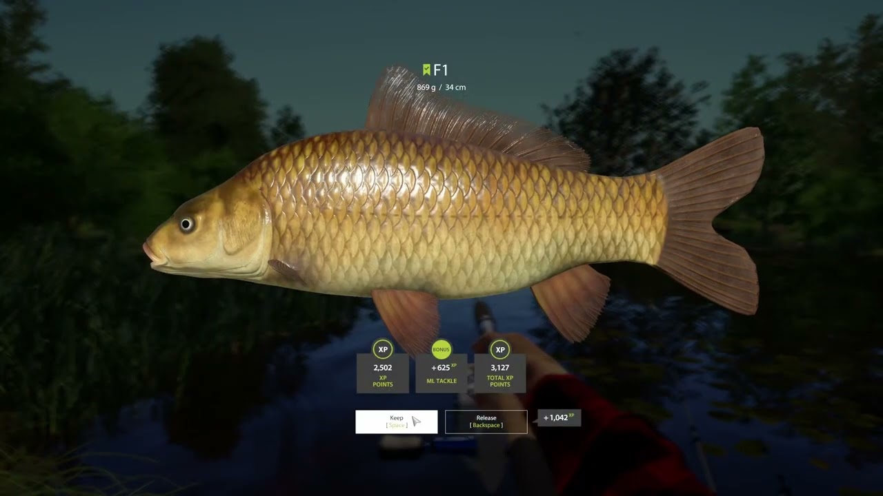 F1 Carp copper lake Russian Fishing 4 #mjplay