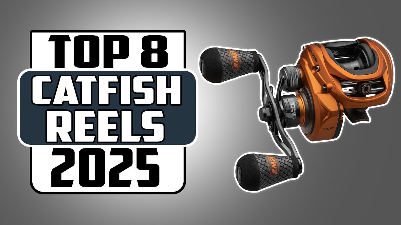 Best Baitcasting Reels for Catfish in 2025 / What’s Worth Your Money?