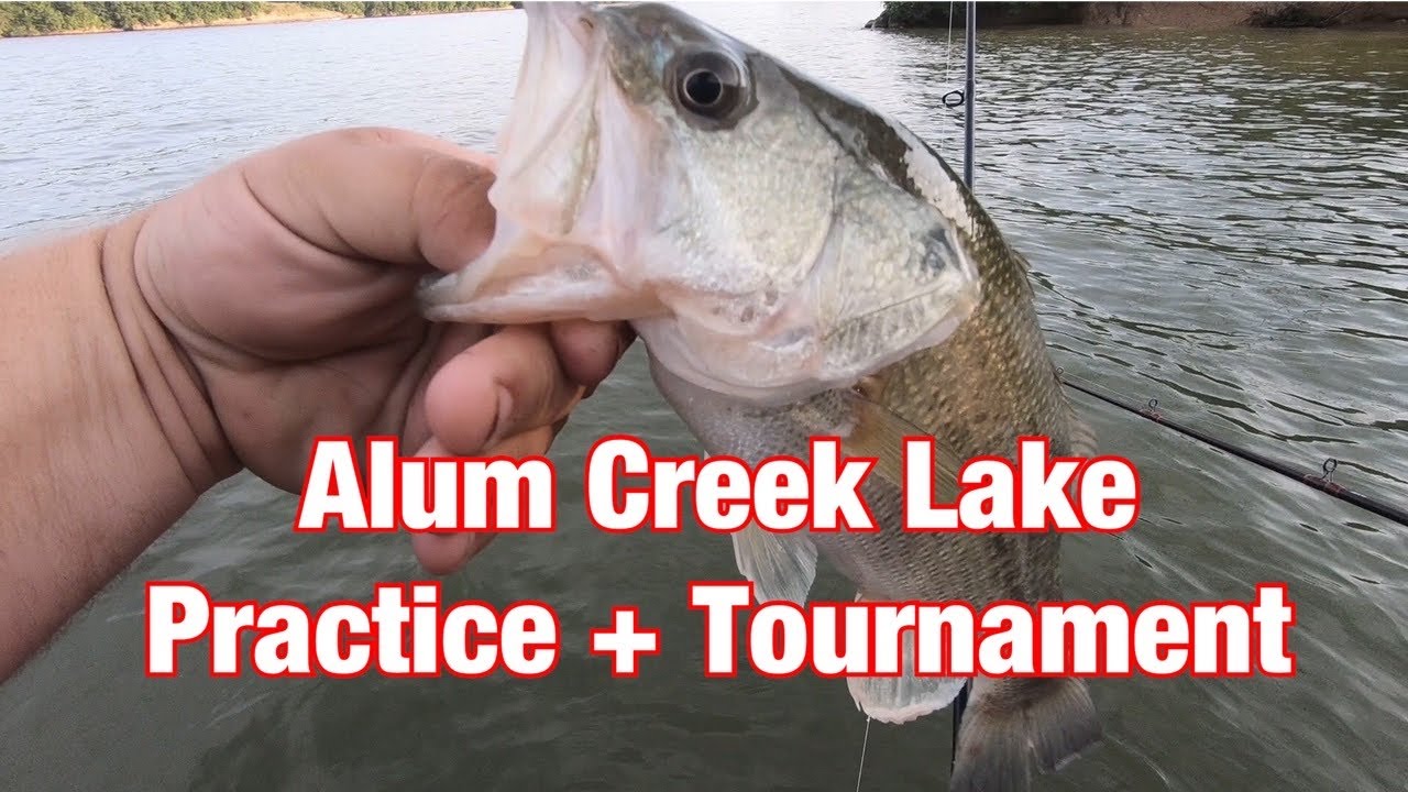 Alum Creek Bass Fishing. Practice + Tournament