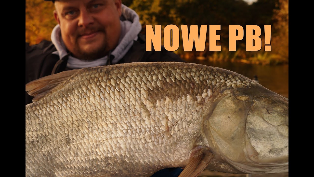 MÓJ ŻYCIOWY BOLEŃ TEJ PRZYNĘTY W ODRZE SIĘ NIE SPODZIEWAŁ z @Wyhaczone