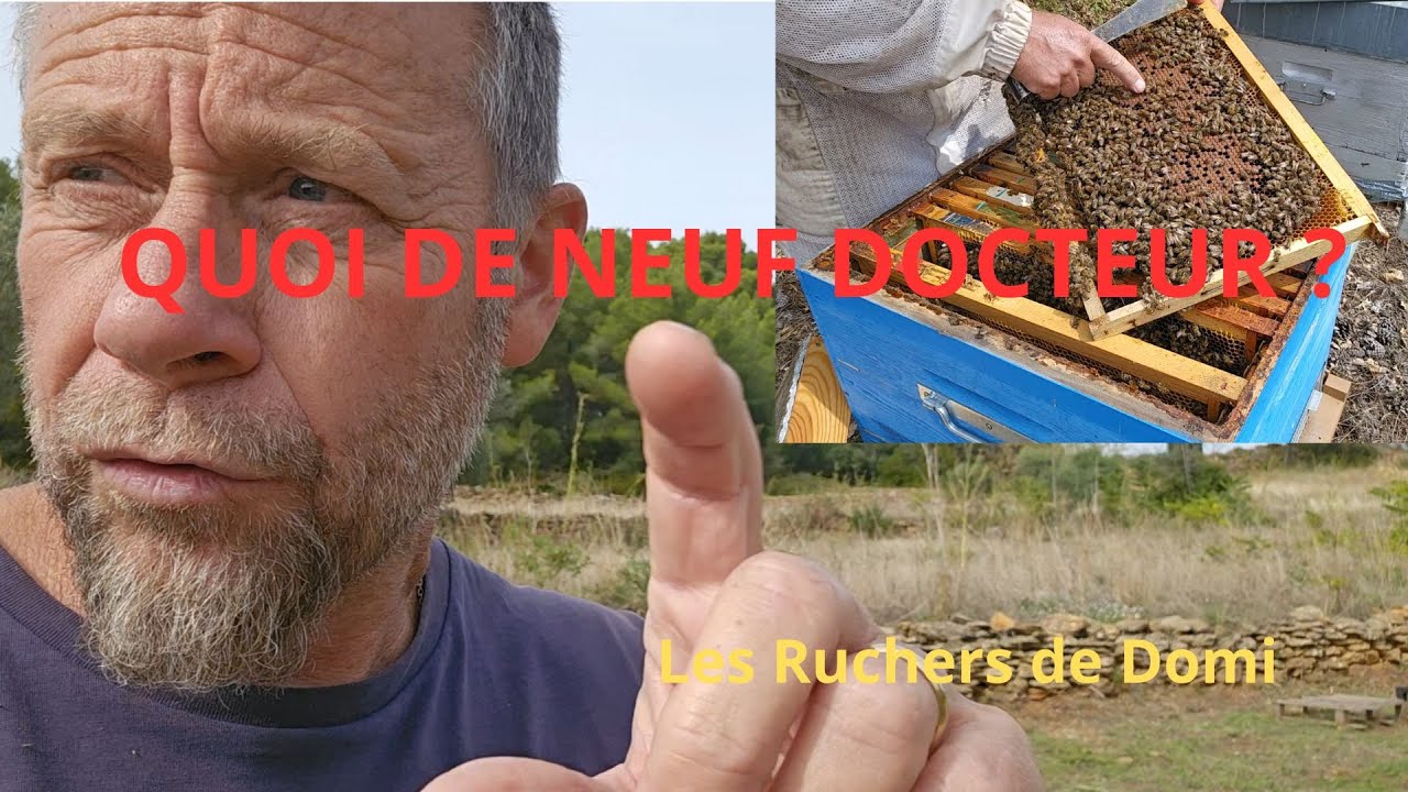 Saison 4 &Eacute;pisode 24. 7/10/2025. Pr&eacute;paration de mon rucher d&rsquo;hivernage.