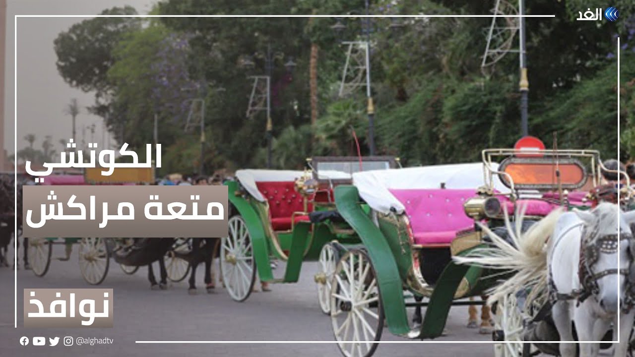 الكوتشي.. المتعة في اكتشاف خبايا مدينة مراكش المغربية | 