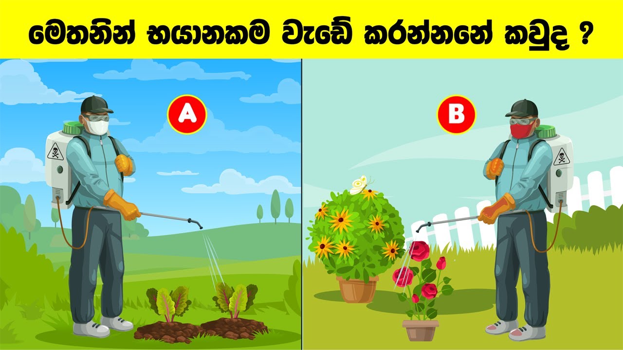 Smart Test Ep :82 | මේවා ස්මාට් වෙන්න කැමති අයට විතරයි ..