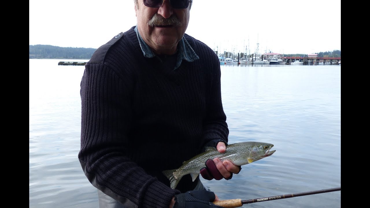 Chasing Cutties in Sooke Harbor