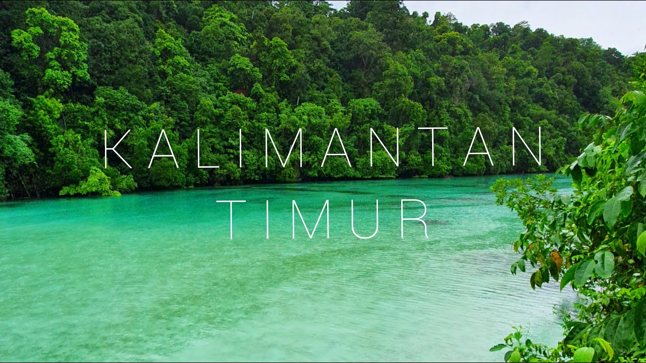 Alam Raya Kalimantan Timur | Nature Cinematic video