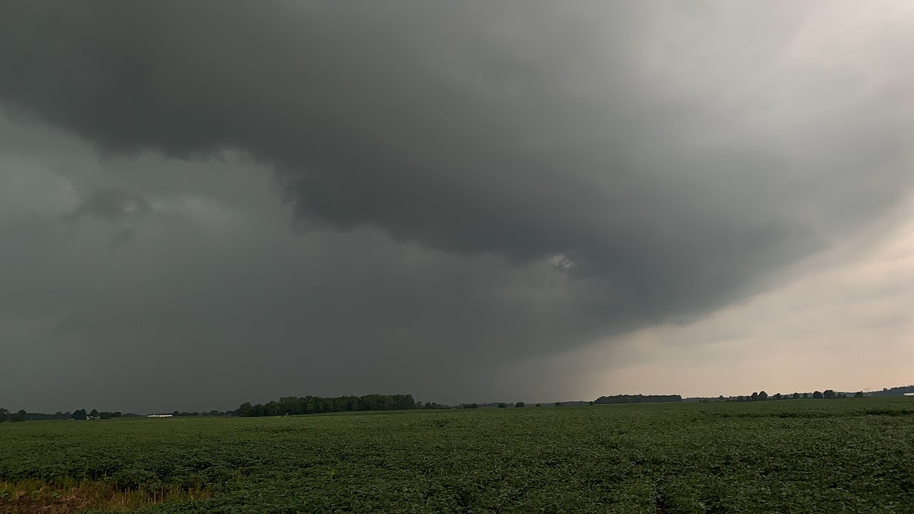 INDIANA DERECHO 8/10/20