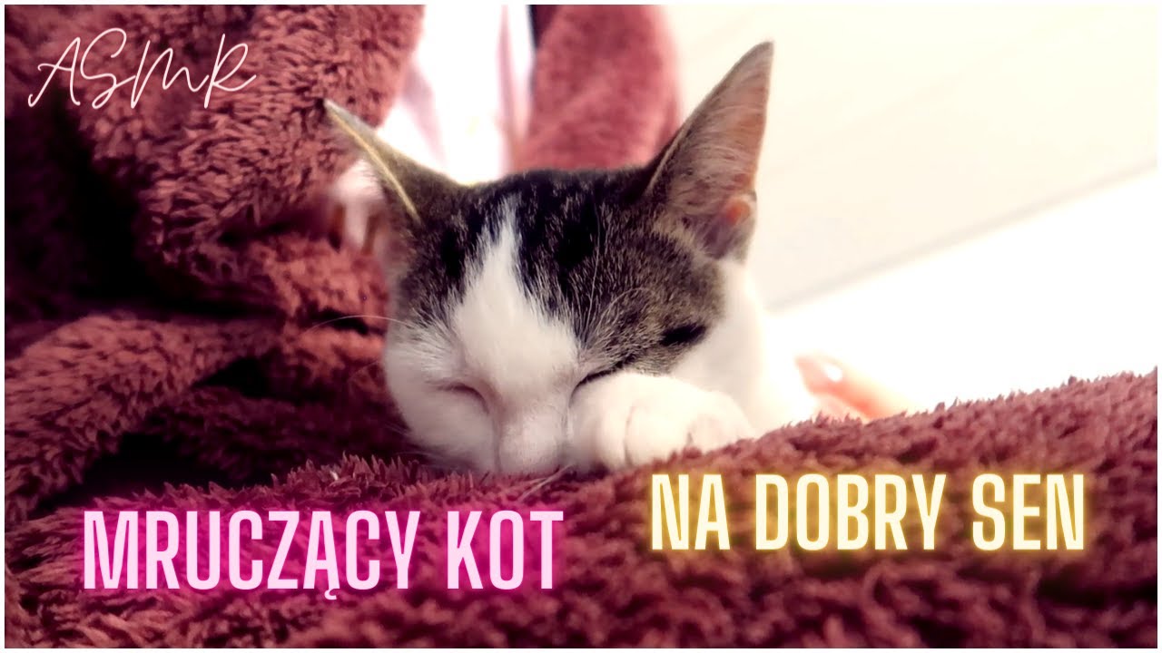 Mruczenie Kotka Na Dobry Sen • Cat Sounds • ASMR Po Polsku