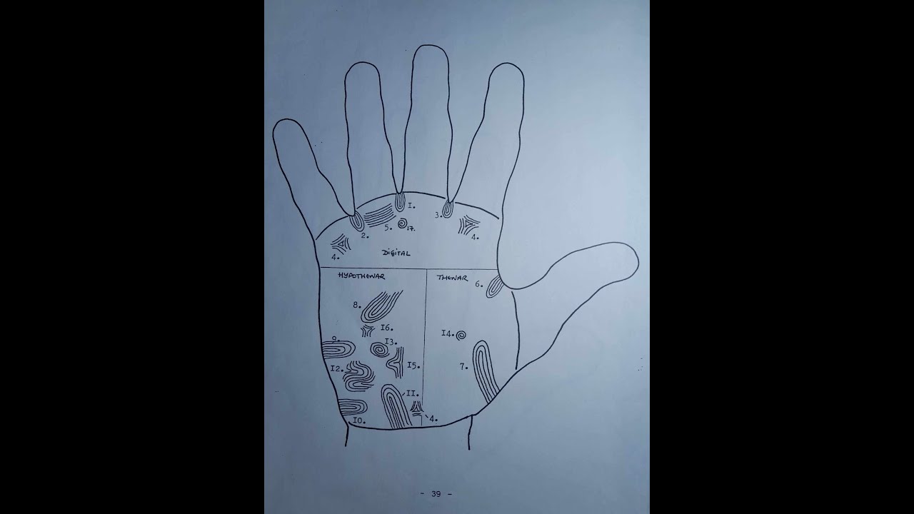 Introduction to Handreading (6):  Palmar Dermatoglyphics