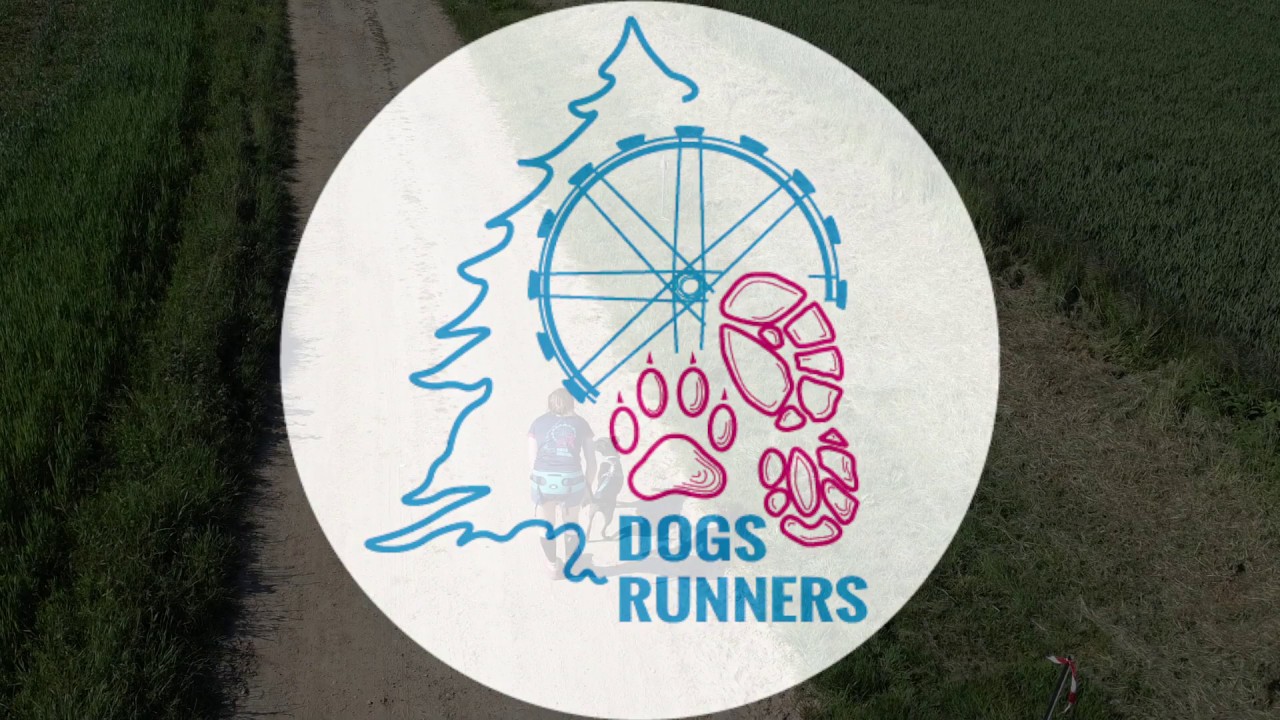 Entrainement canicross avec les Dogs Runners