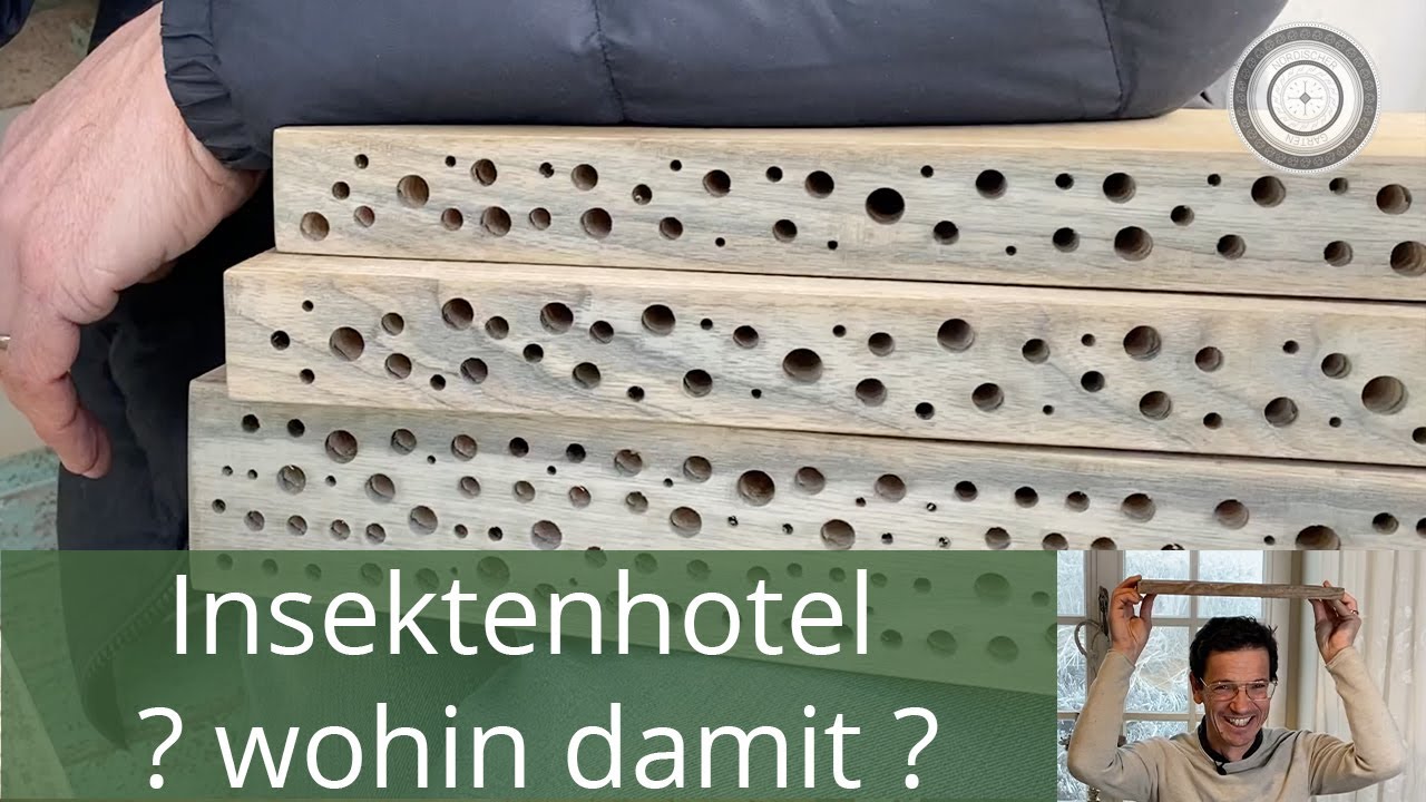Insektenhotel, Wildbienennisthilfen richtig montieren, wie, wo, wann??