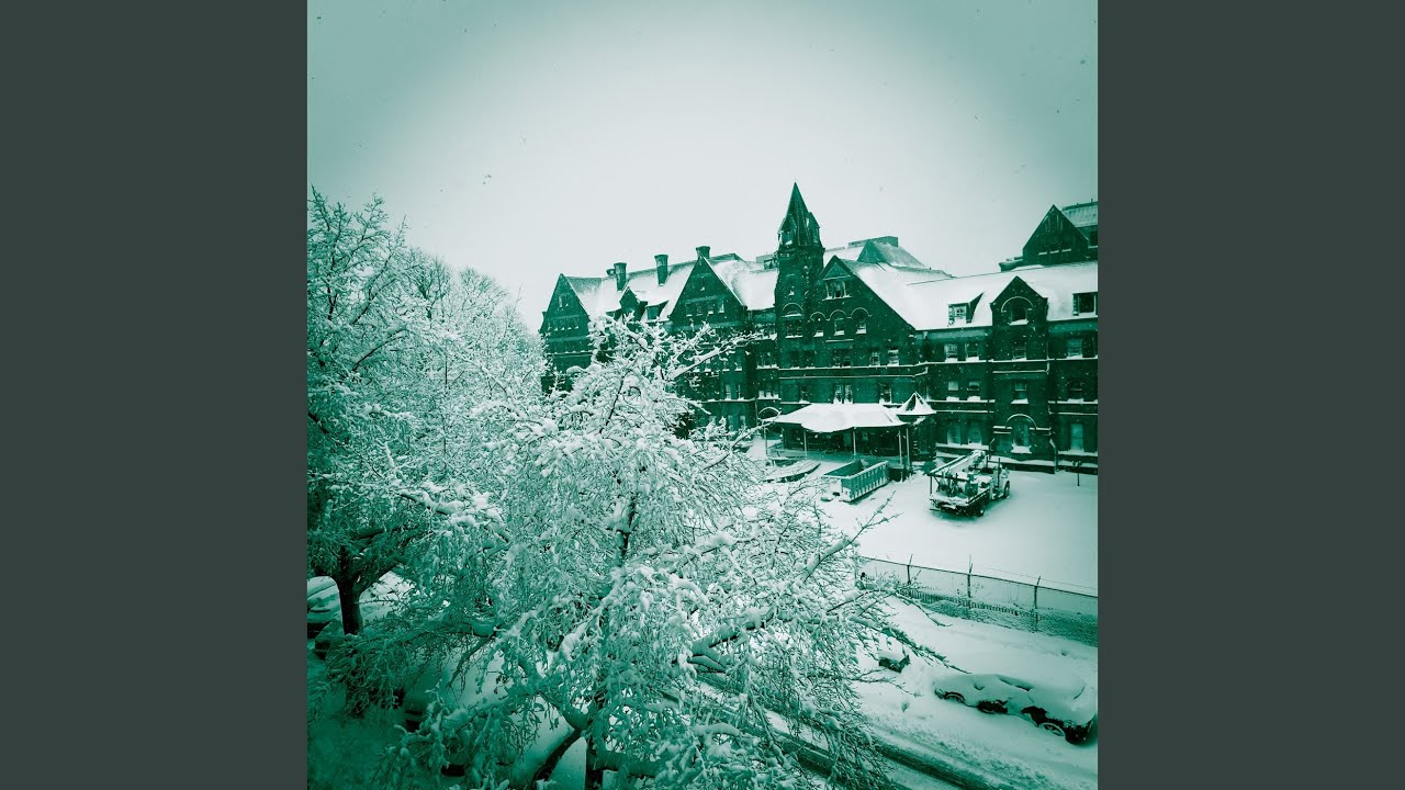 Phoenix Landing Revisited