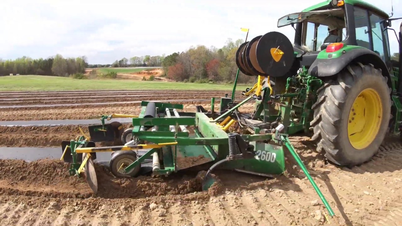 Laying plastic mulch with a John Deere 6115m and a Rainflo Irrigation 2600 mulch layer