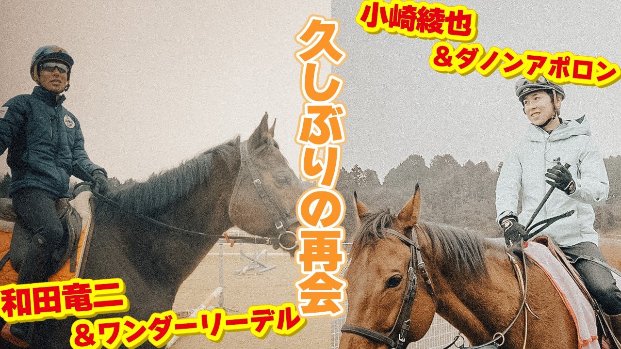 かつて騎乗した馬で馬乗りを楽しみました！IN湖南馬事センター
