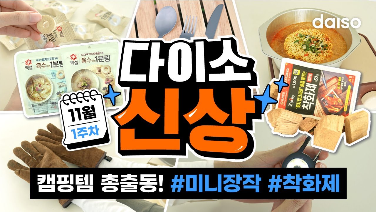 캠핑 전엔 다이소 꼭 들리기~!🏕️ 간편한 #미니장작 #착화제 #육수1분링 | 다이소 신상 11월 1주차! 1탄🛒