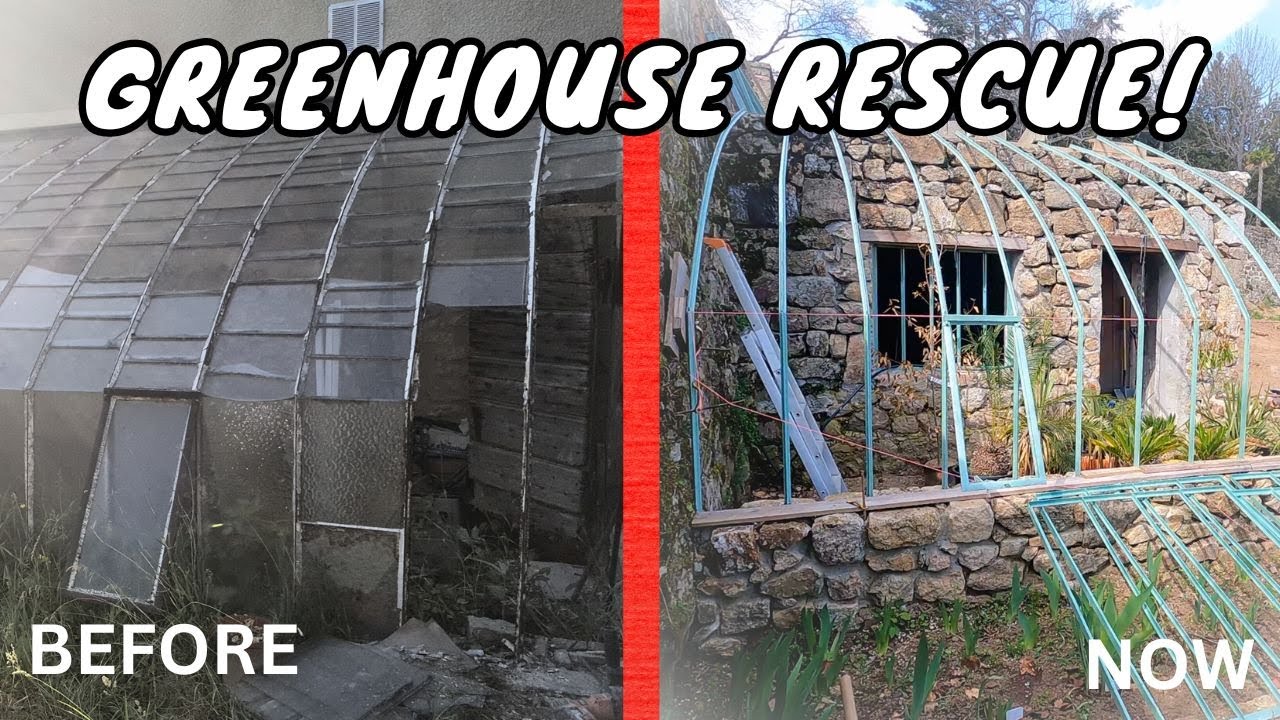 Rescuing and restoring a 150 year old greenhouse