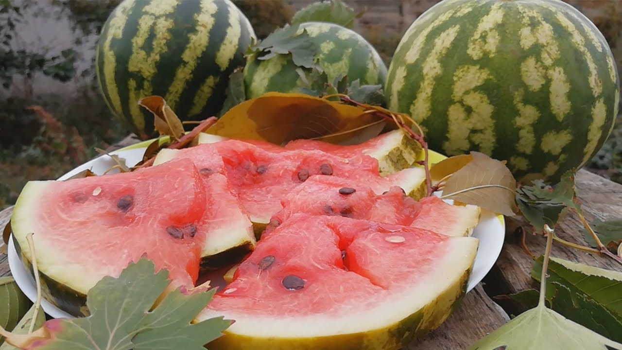 Настоящий  рецепт Моченого  Арбуза в Бочке /Соленый Арбуз /watermelon in a barrel  salted watermelon