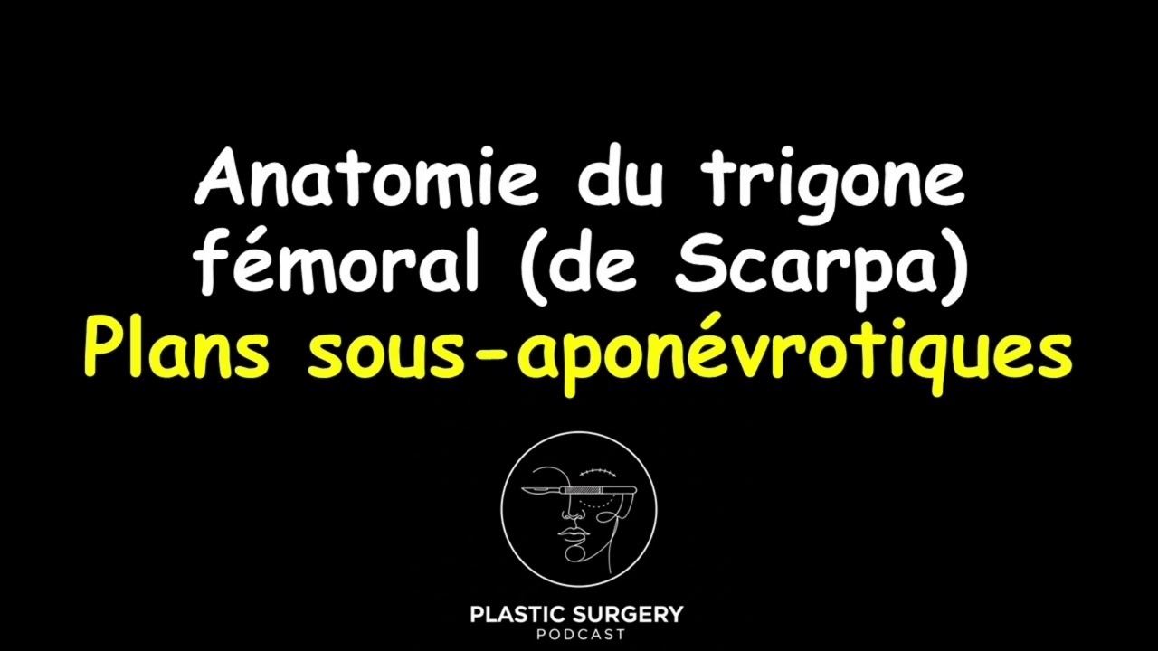 Anatomie du trigone fémoral (de Scarpa) : Plans sous-aponévrotiques