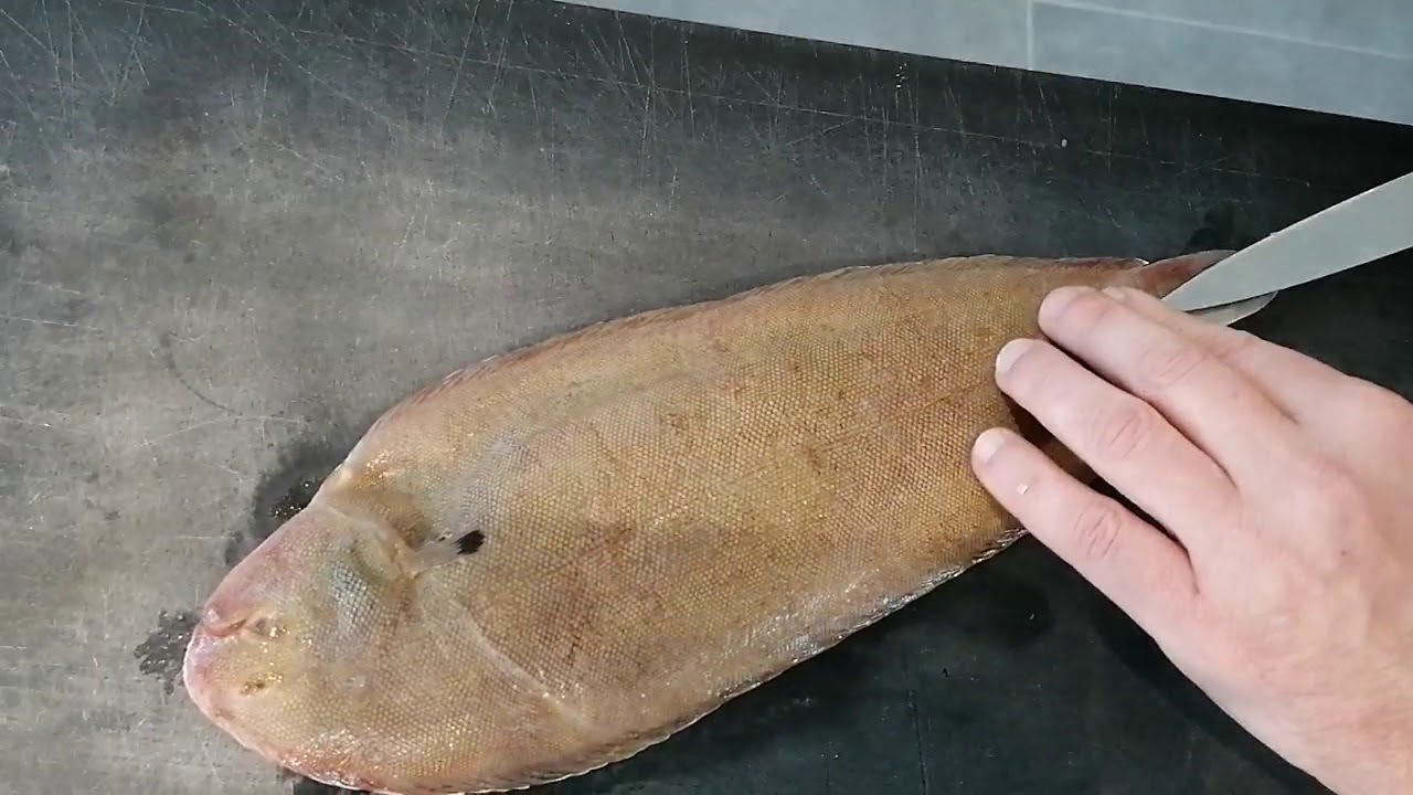 zeetong vel verwijderen