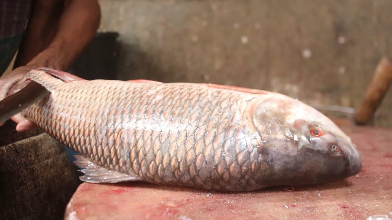 This Fish Cutter Is Very Skillful | Bangladeshi Skillful Fish Cutter