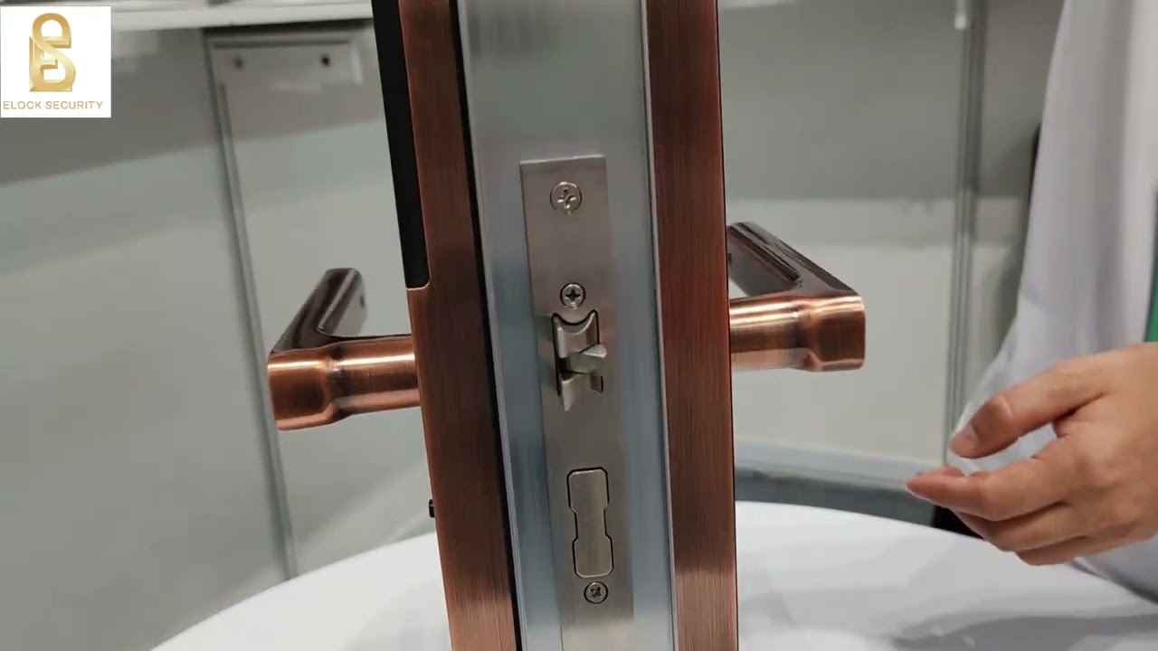 Room Door Fingerprint With TT/TUYA WIFI Door Lock ES291F