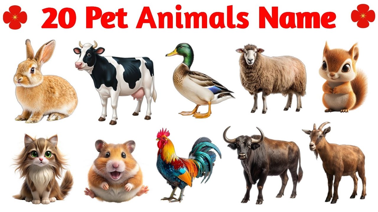 Learn Pet Animal Names for Kids 🐰🐶 | 20 Pet Animals Names | Fun Learning Video