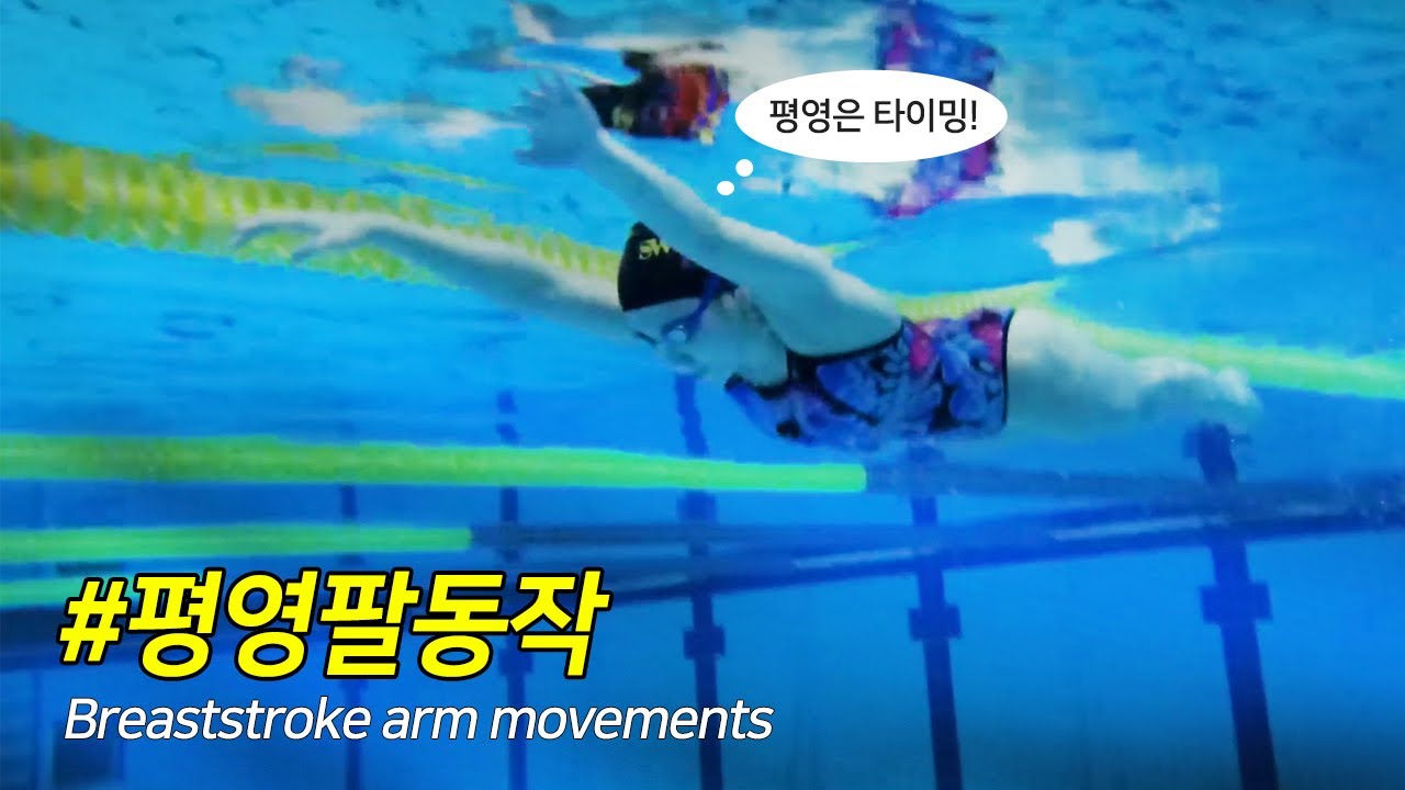 평영 움직임과 타이밍 알아보기 with 쁨지