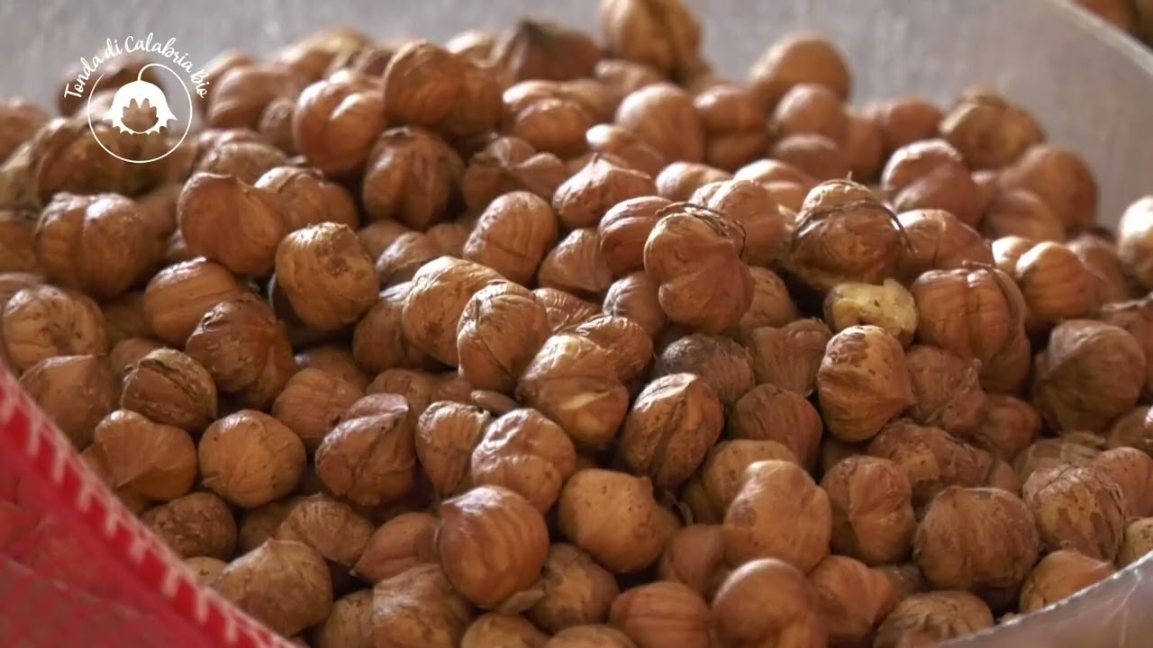 DOCUMENTARIO | LA NOCCIOLA CHE CONQUISTA TUTTI
