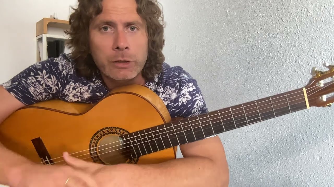 Swedish House Mafia / The Weeknd - Moth To A Flame (Acoustic Guitar Lesson)