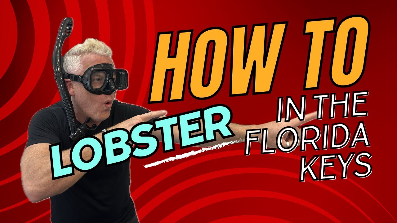 How to catch Lobster in the Florida Keys!