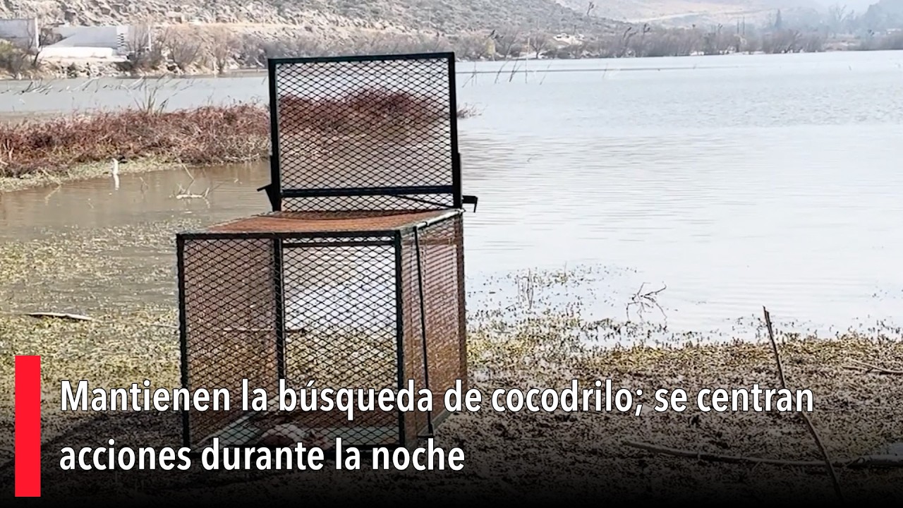 Mantienen la búsqueda de cocodrilo; se centran acciones durante la noche