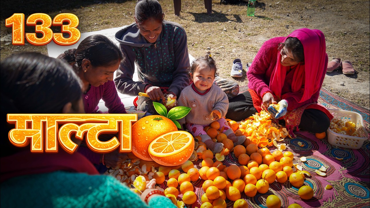 गर्मियों के लिए हज़ारों पहाड़ी माल्टों का बनाया जूस 🍊 Vlo133