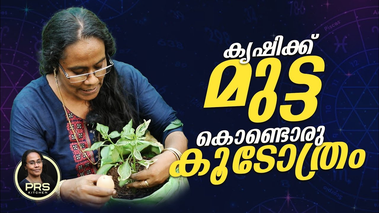 കൃഷിക്ക് മുട്ട കൊണ്ടൊരു കൂടോത്രം | PRS KITCHEN | PRS TIPS