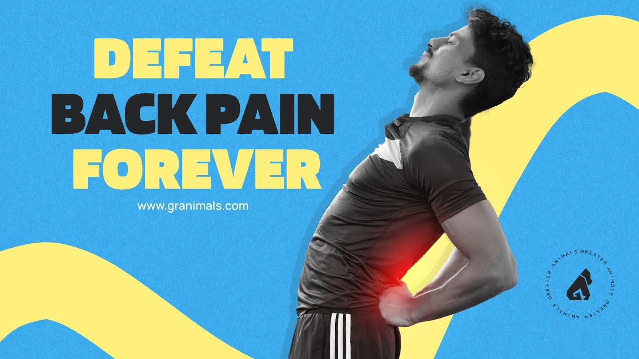 Spinal Mobility Routine for Back Pain Relief | Back Pain & Posture Fix