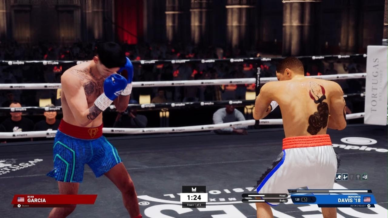 Tank Davis VS Garcia  ended in KO I closed the distance and landed POWER