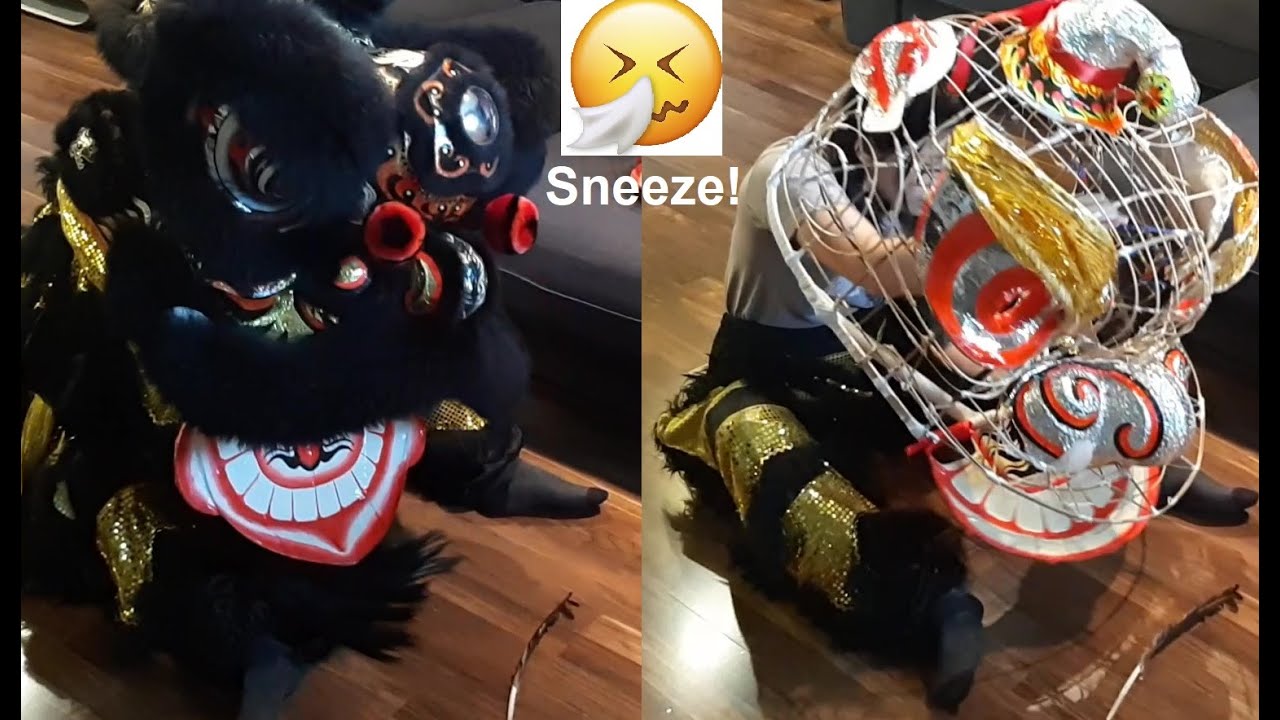 Lion Sneezing - How to with 5 Elements Lion Dance