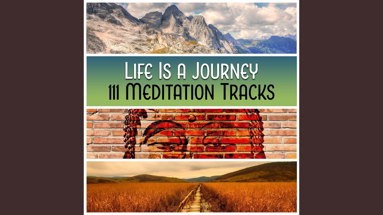 Mindfulness Reflection