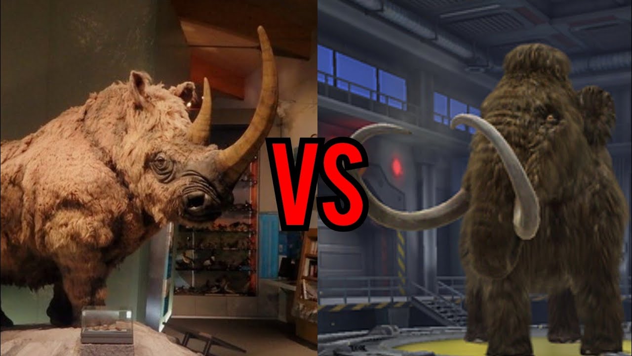 MAMUTE (Manny) VS RINOCERONTE LANUDO (Rhino) - Batalha Cenozoica - ep 8
