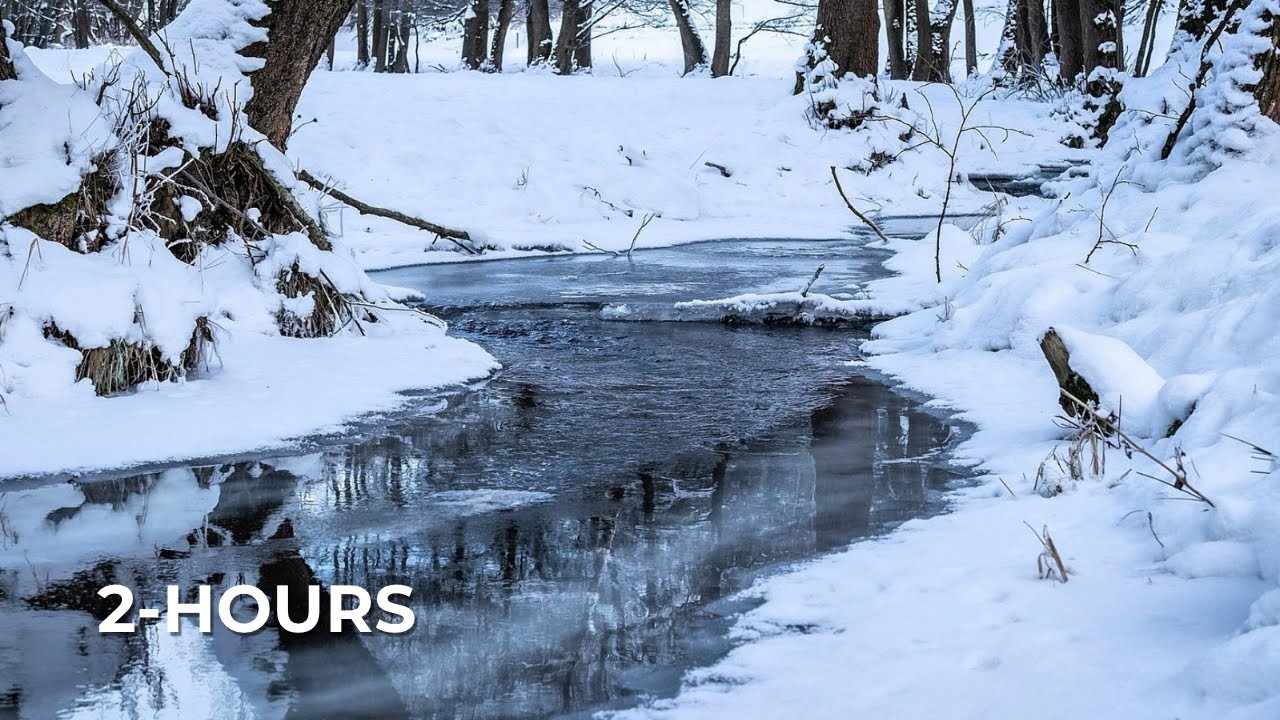 Frozen Creek Flow – Yukon Winter Ambience -30°C (No Wind)