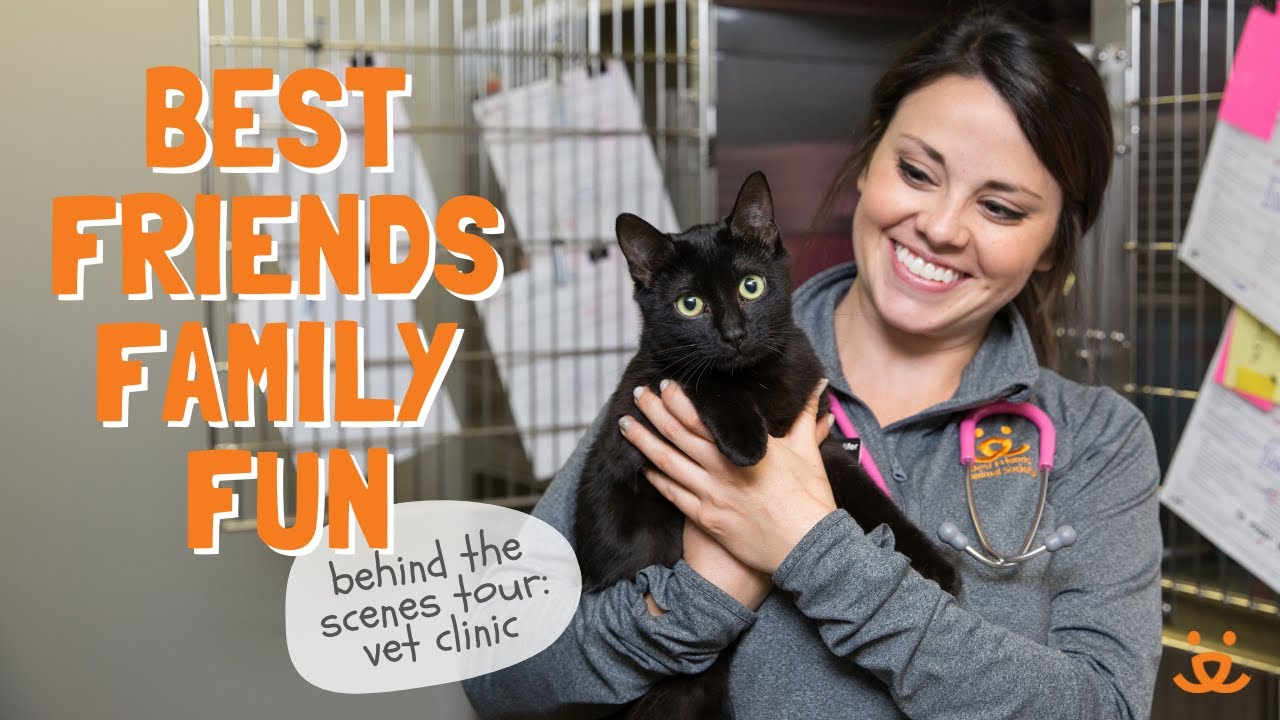Family Fun! BTS: Best Friends Animal Sanctuary vet clinic tour