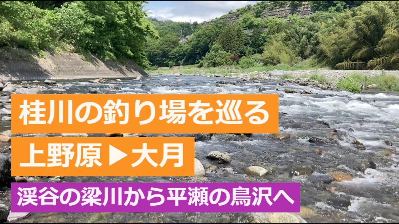 桂川の釣り場を巡る②　渓谷の核心部梁川から、開けた瀬続く鳥沢へ　2023年5月　鮎解禁前の川見