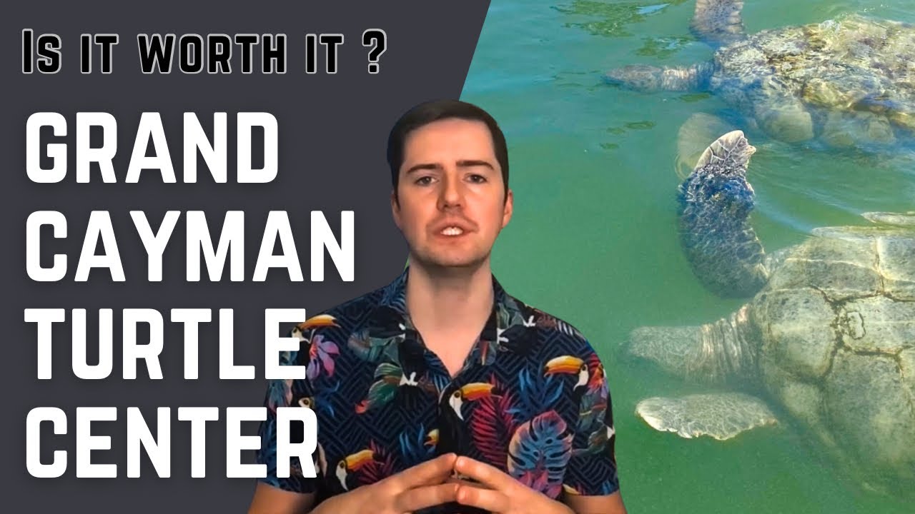 Is the Turtle Centre in Cayman Islands worth it for Families?