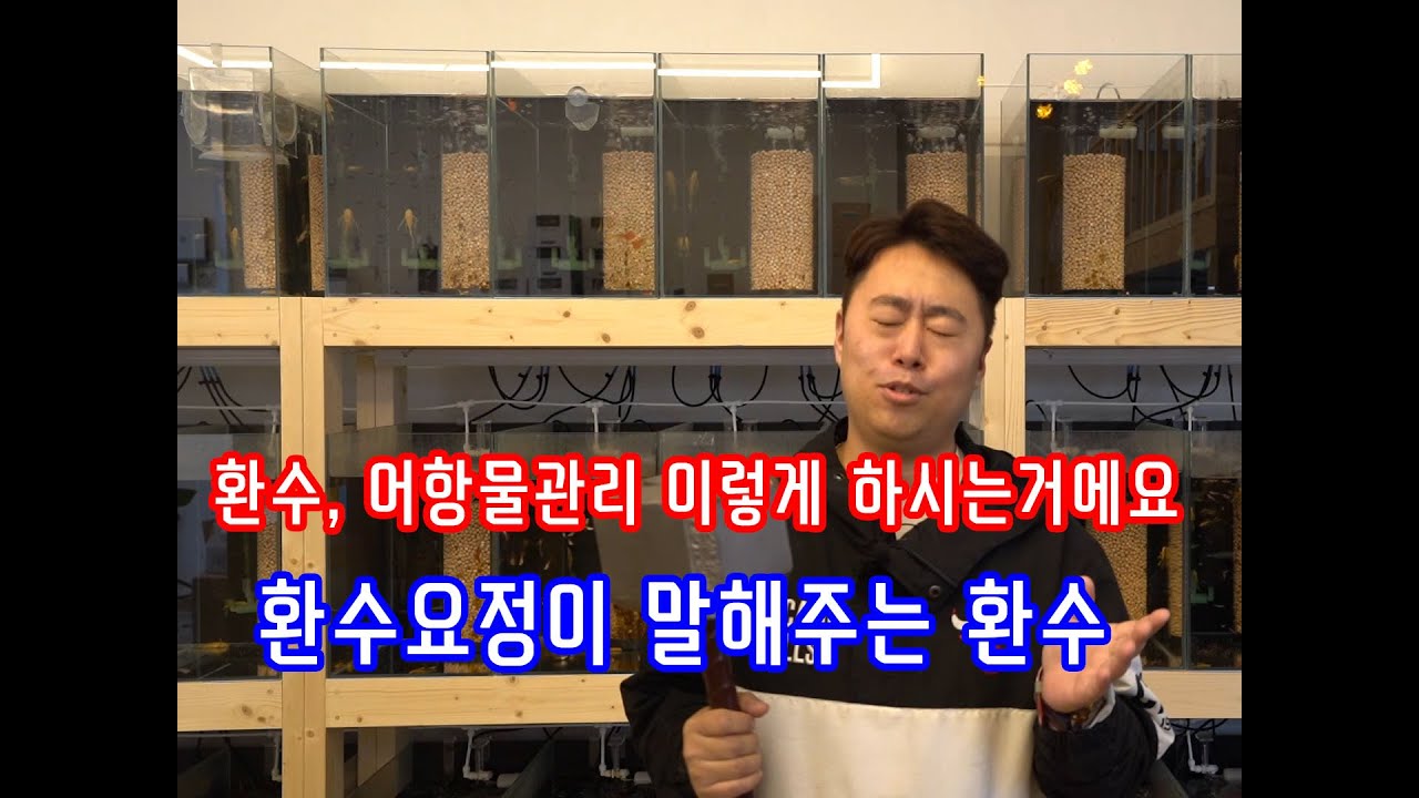 어항물갈이 환수 이렇게하시면 됩니다 형님들!