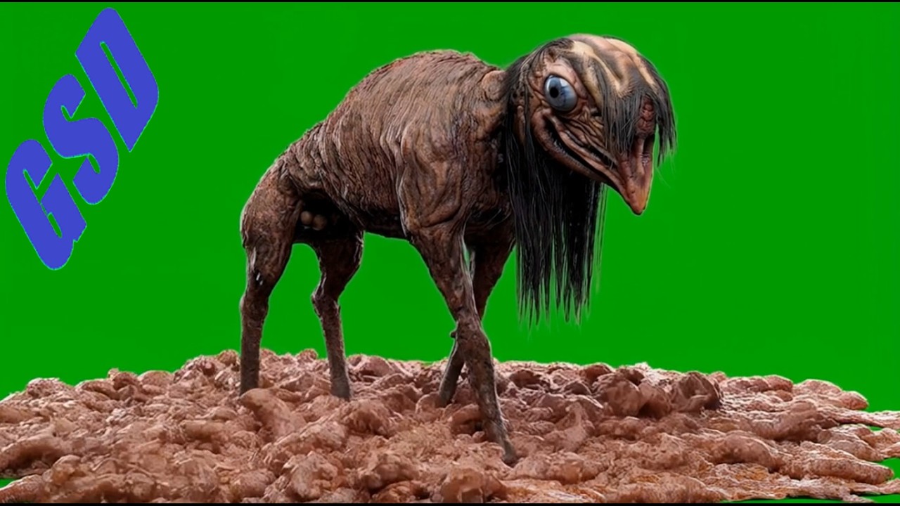 Big Charlie Trever Henderson Green Screens